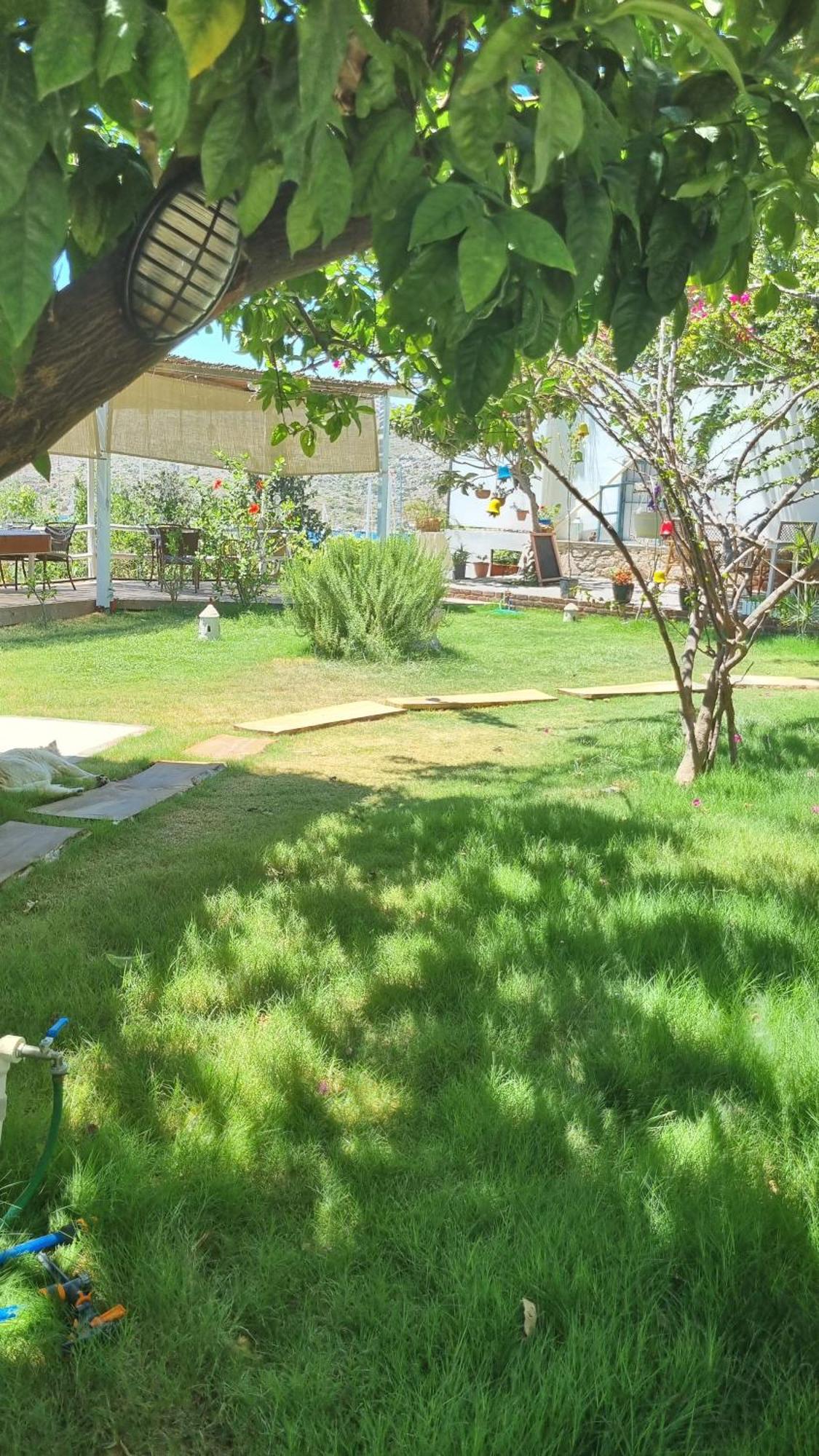 Lemon Garden Boutique Hotel Bozburun Zewnętrze zdjęcie